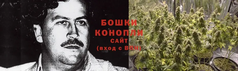 Канабис OG Kush  сколько стоит  Щёкино 